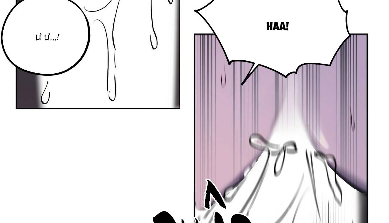 chàng dâu nhà họ kang chapter 22 48