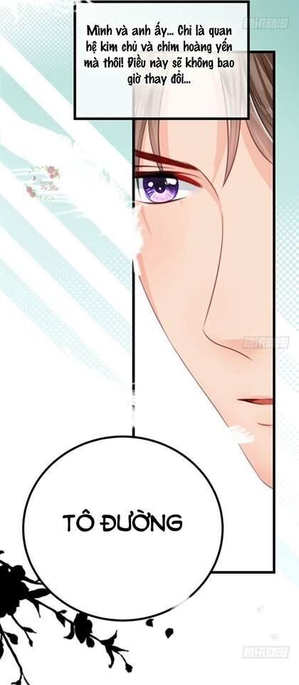 luyến đường thời quang chapter 22 28