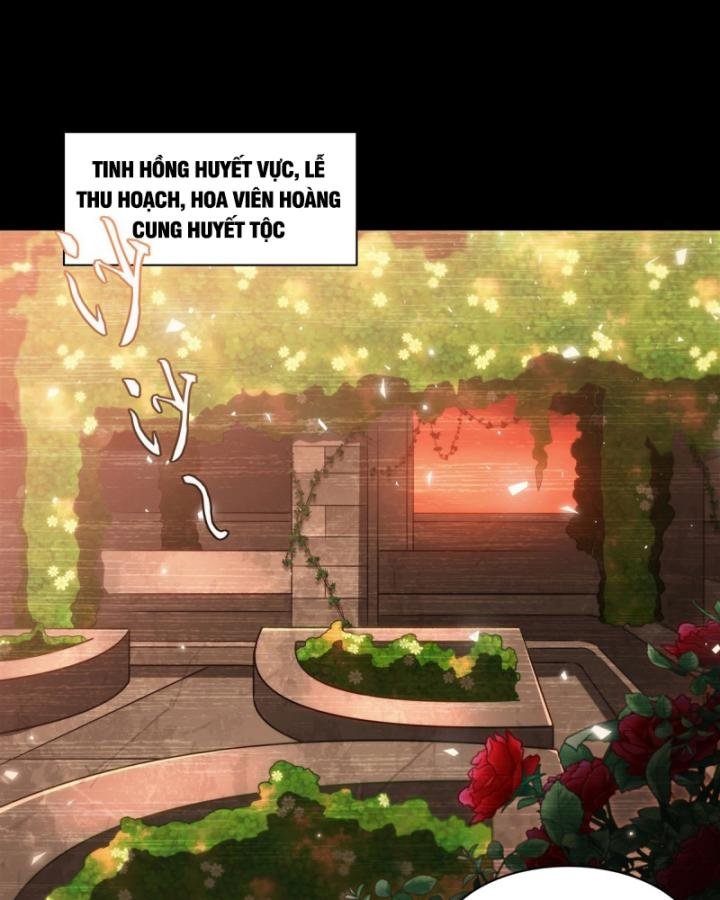 huyết cơ và kỵ sĩ chapter 332 65