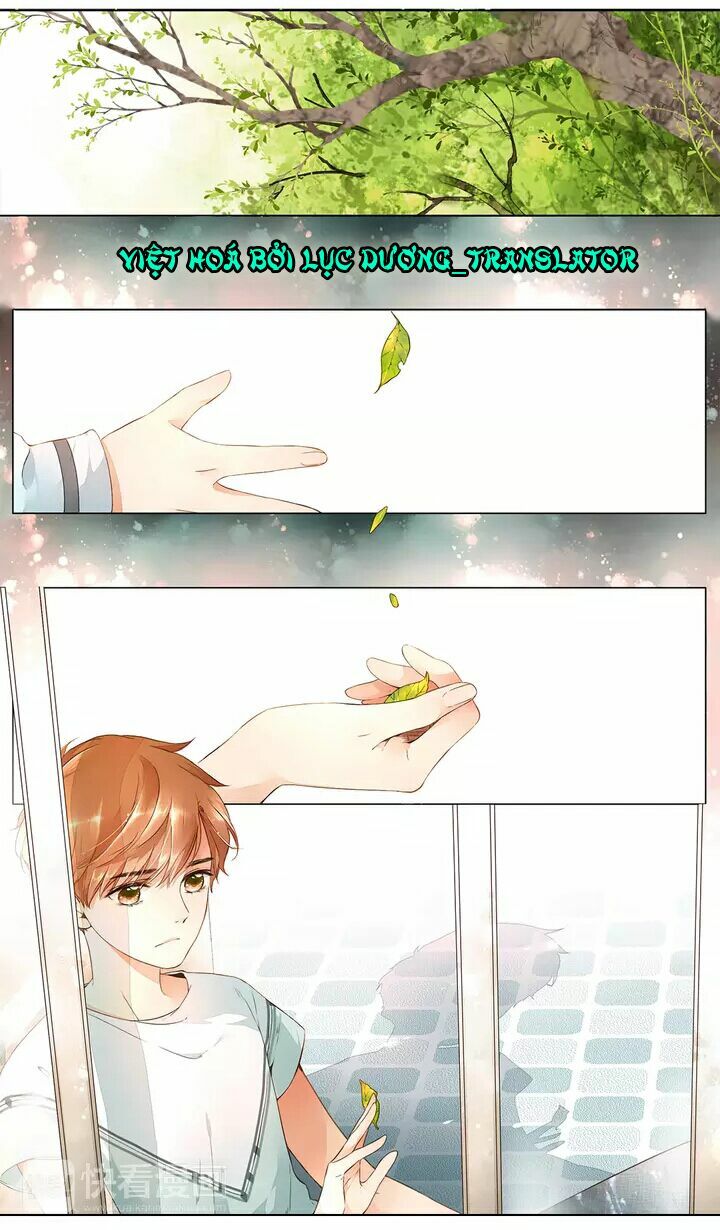 Tình yêu là màu hoa anh thảo chapter 15.1 1
