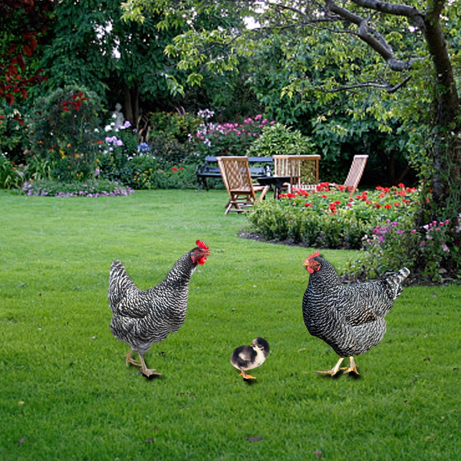 3 Pieces Chicken Animal Statue Animal Shaped Yard Stake for Pathway Decor
