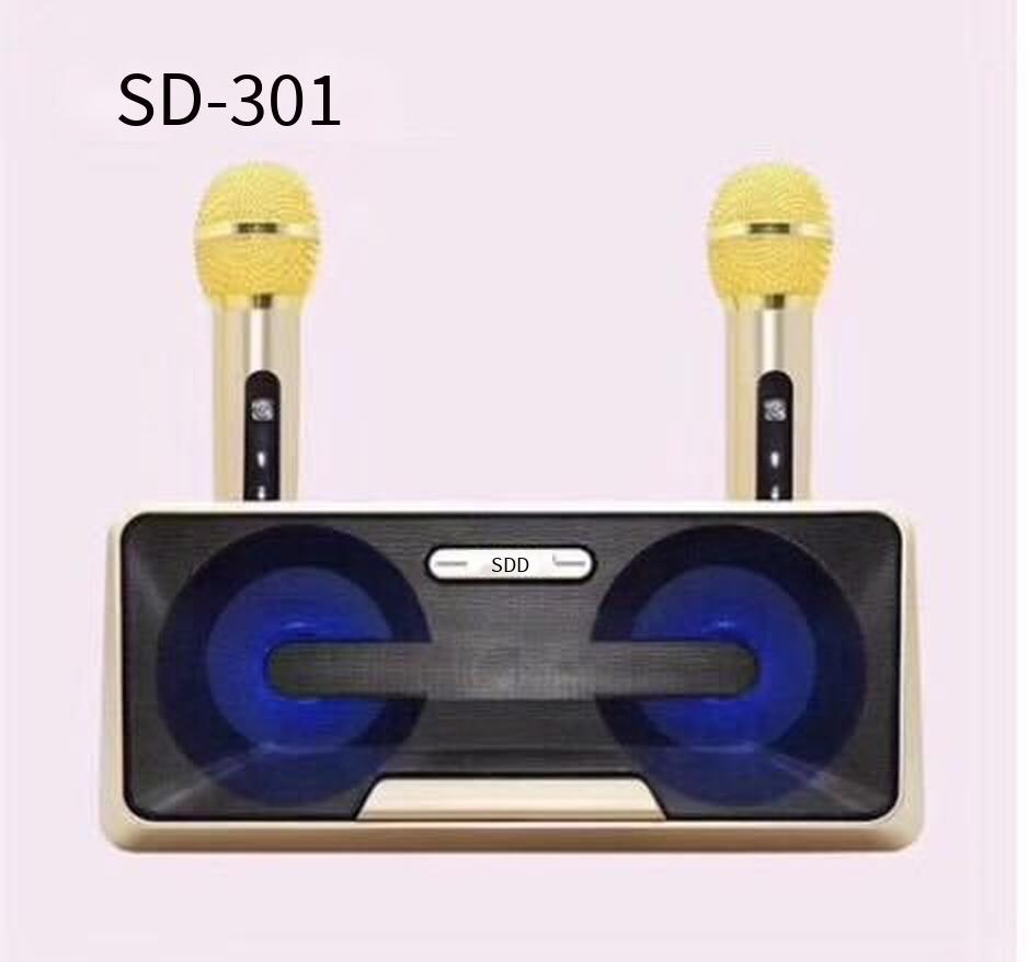 Đảm bảo chất lượng SD301 một cho hai gia đình KTV âm thanh bluetooth nhiều chế độ micro kép điệp khúc đôi karaoke di động