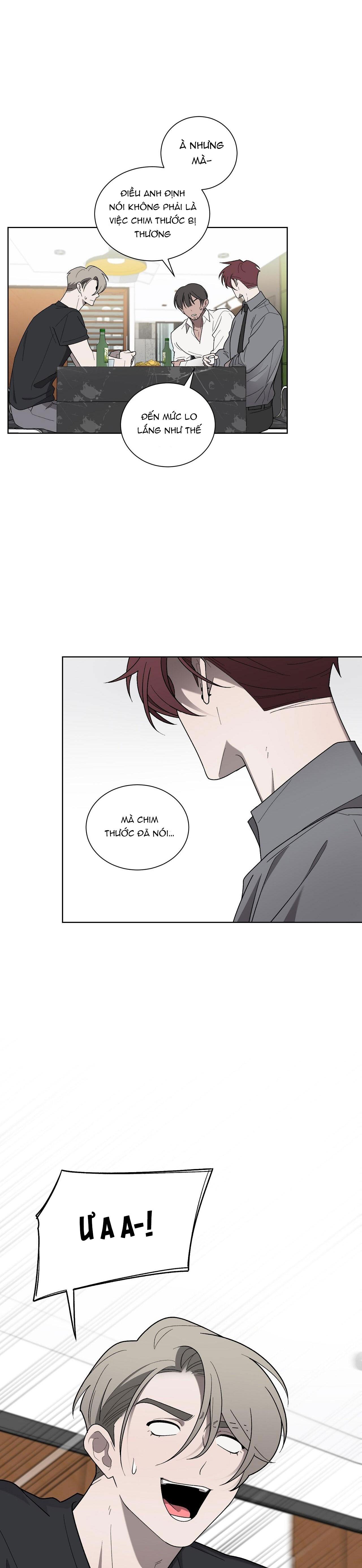 khi chim thước đến chapter 18 11