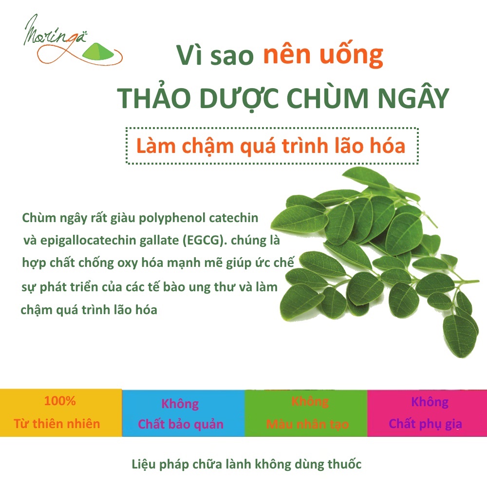 Combo 2 Hộp Bột Chùm Ngây Moringa - Thảo dược giúp tăng sức đề kháng, phòng ngừa loãng xương, hỗ trợ điều trị tiểu đường, đau nhức xương khớp, ổn định huyết áp, đẹp da