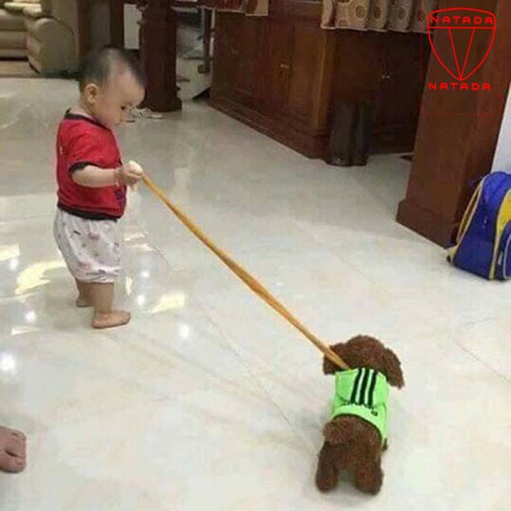 Chú chó lông xù mini biết đi, biết hát, biết lắc mông cực Cute cho bé yêu, đặt biệt hát tới 260 bài hát Tiếng Việt