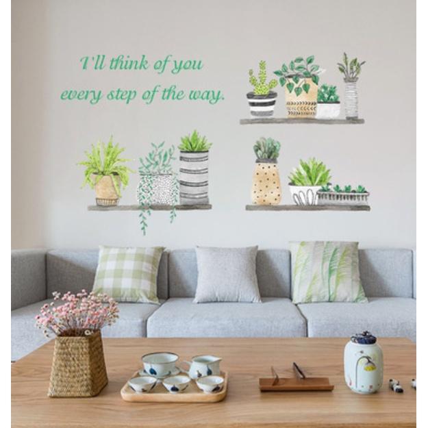 Decal trang trí tường - Xương Rồng Nhiều mẫu khác nhau