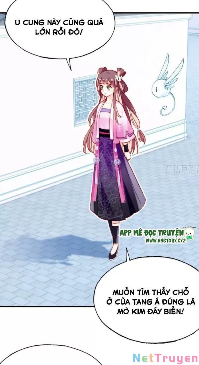 lại bị bệnh chiều chuộng quấn lấy chapter 33 32