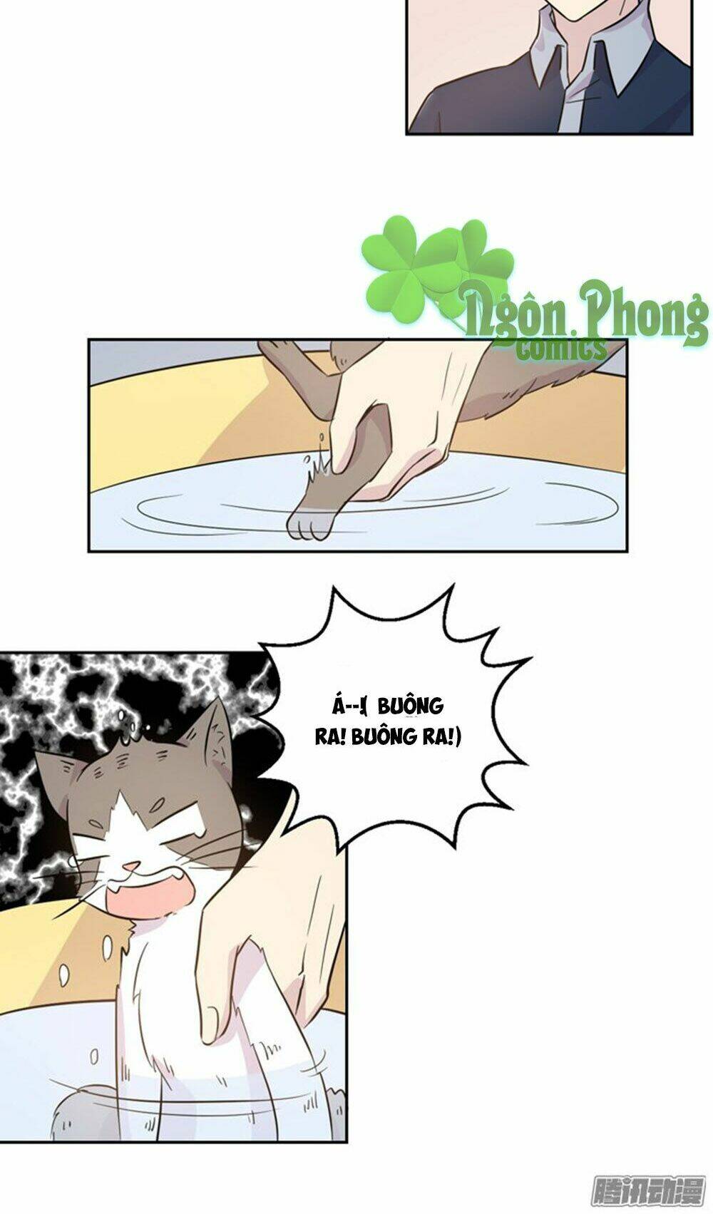 hai chú mèo totem chapter 18 9