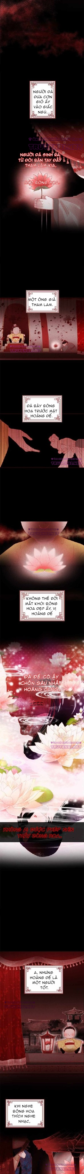 rắn có ăn hoa không? chapter 0 3