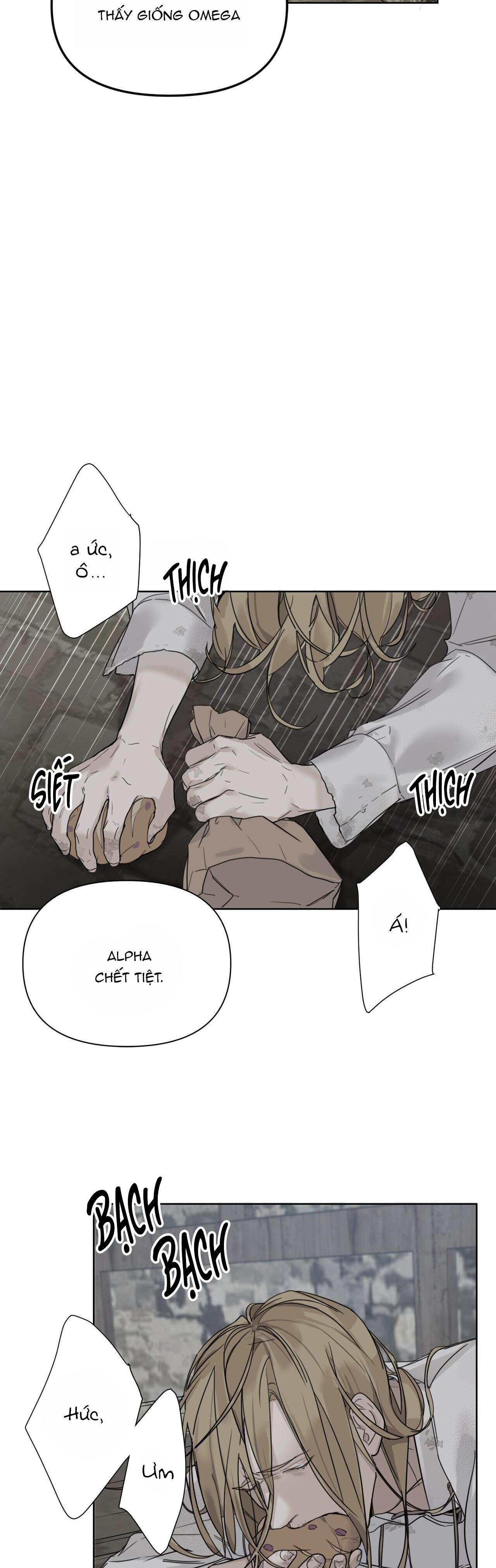 bước vào vườn hồng chapter 1 4