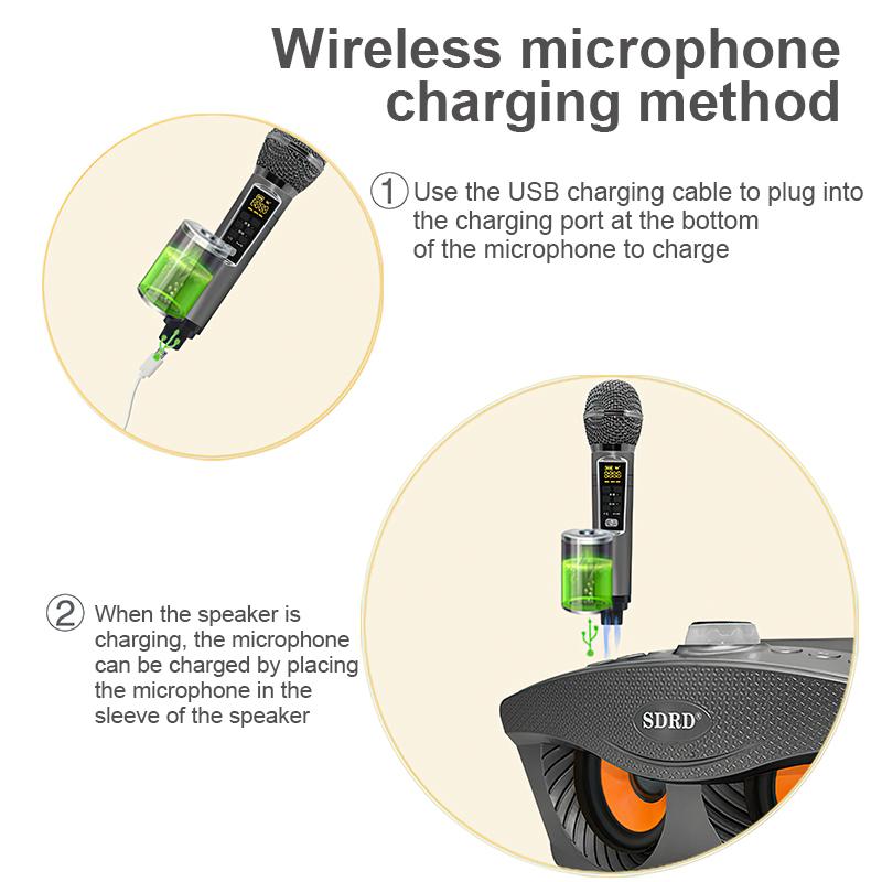 Loa Bluetooth Karaoke SDRD SD 306 Plus Bản Mới Nhất,Kèm 2 Micro Karaoke Không Dây,Chất Lượng âm Thanh Tuyệt Vời