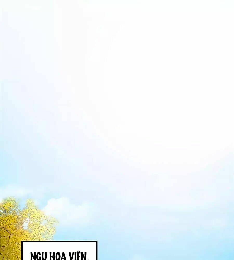 gian phi như thử đa kiều chapter 24 1