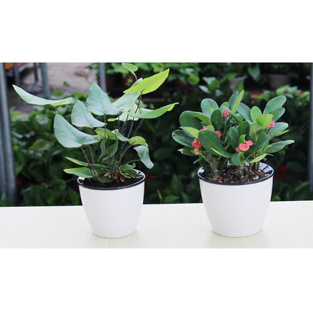 -watering Plant Flower Pot Garden  Planter Decor