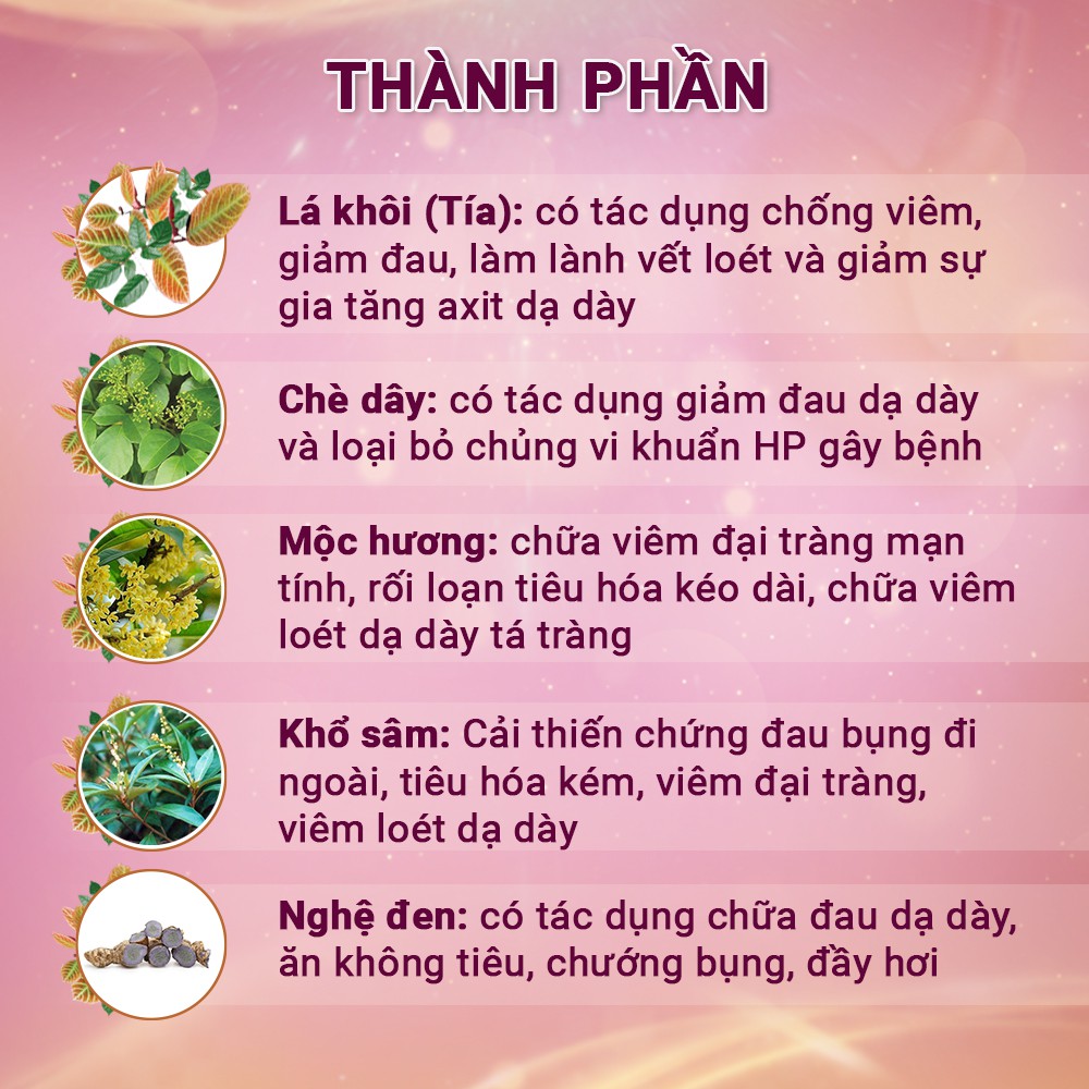 An Vị Dân Khang Hỗ Trợ Giảm Axit Dịch Vị, Bảo Vệ Niêm Mạc Dạ Dày Tá Tràng Dân Khang