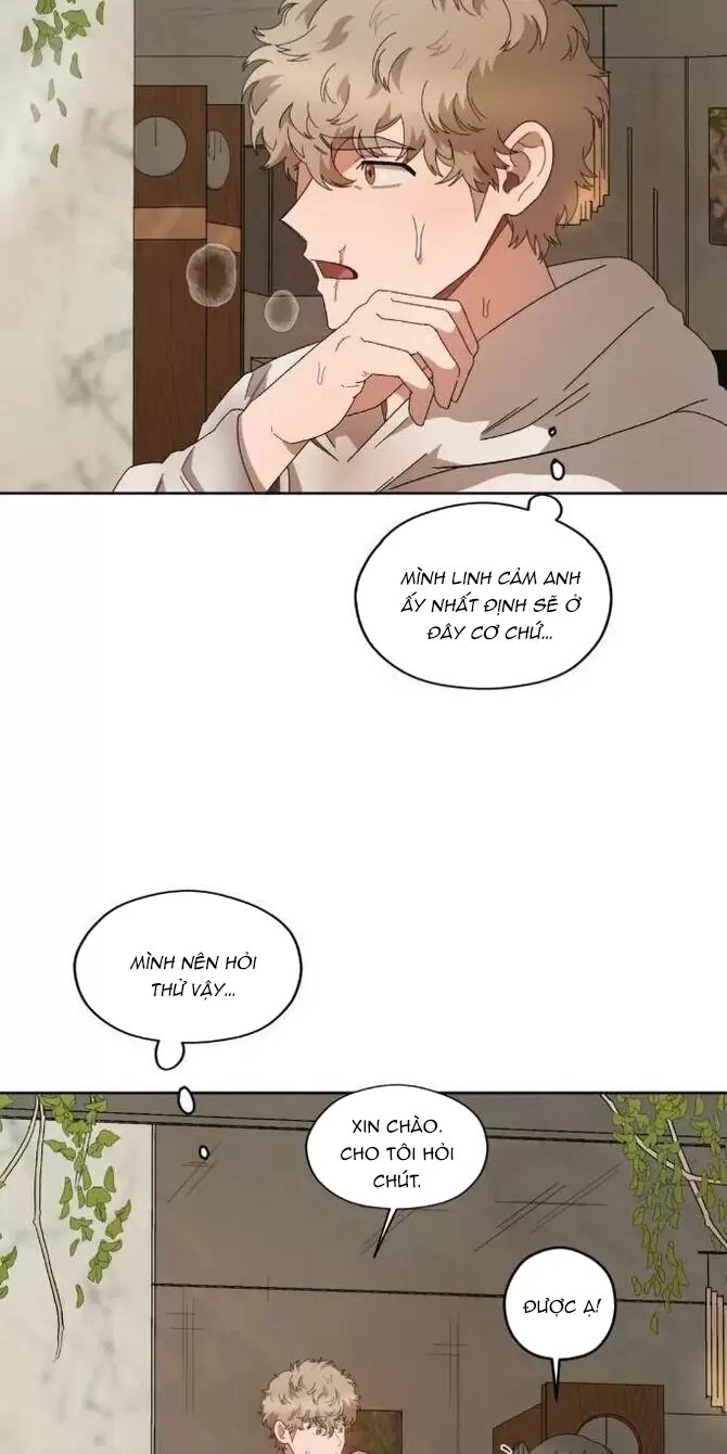 liveta chapter 35 39