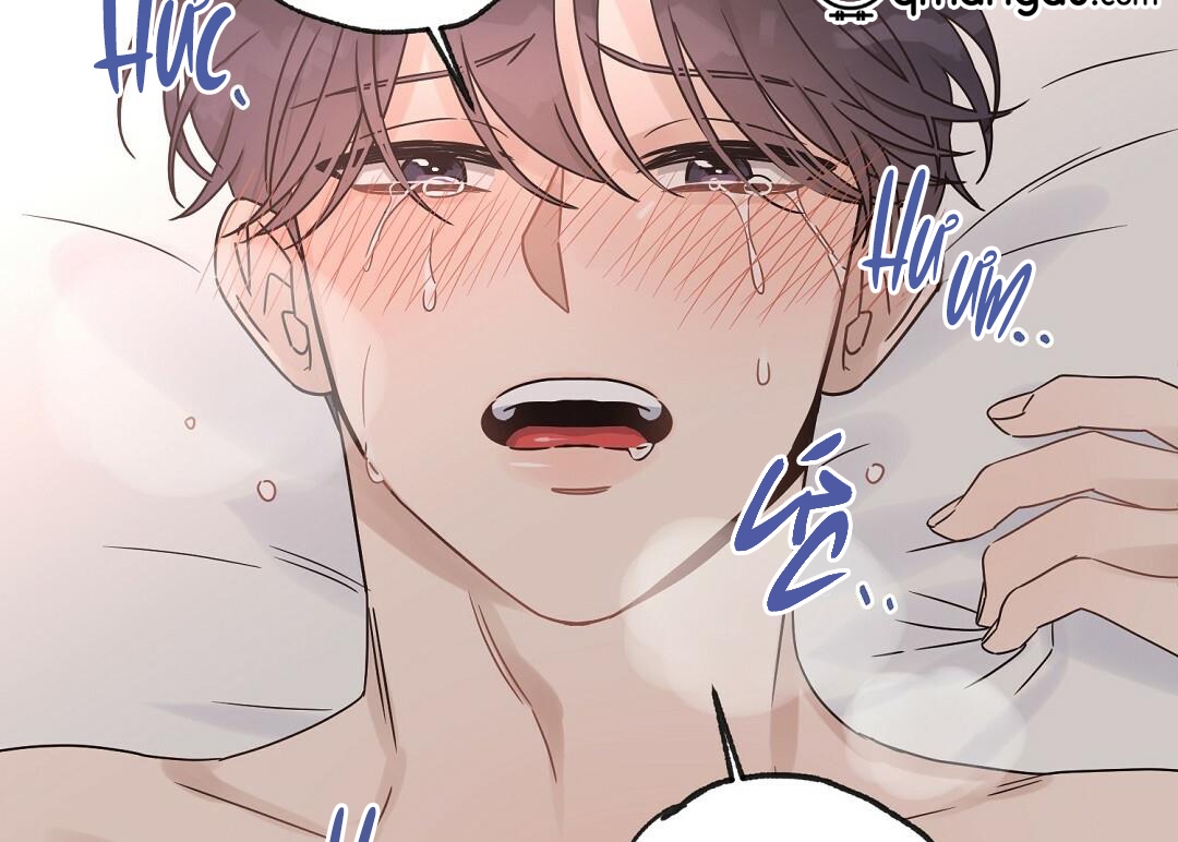 phức cảm tự ti của omega chapter 19 188