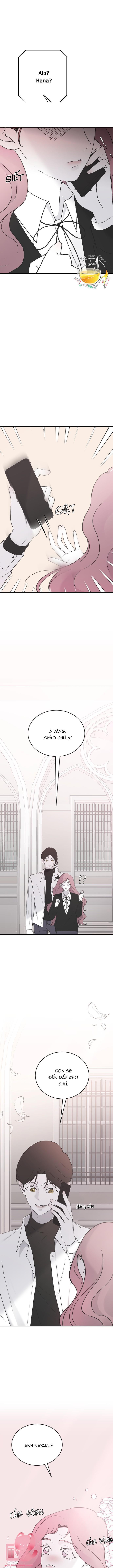 ba anh trai cực phẩm của tôi chapter 41 10