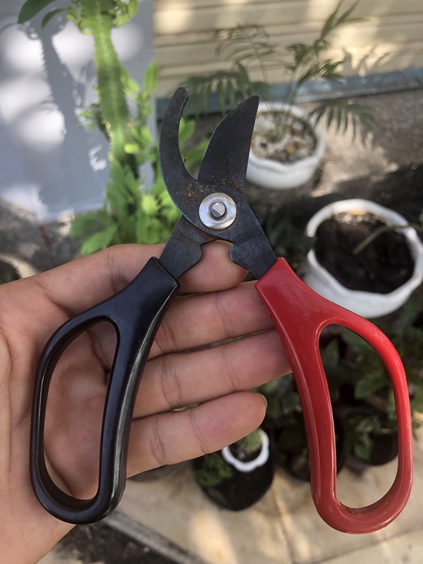 Kéo chuyên dụng cắt tỉa cây cảnh lưỡi cong Echo Metal 170-50mm - Hàng nội địa Nhật Bản nhập khẩu chính hãng