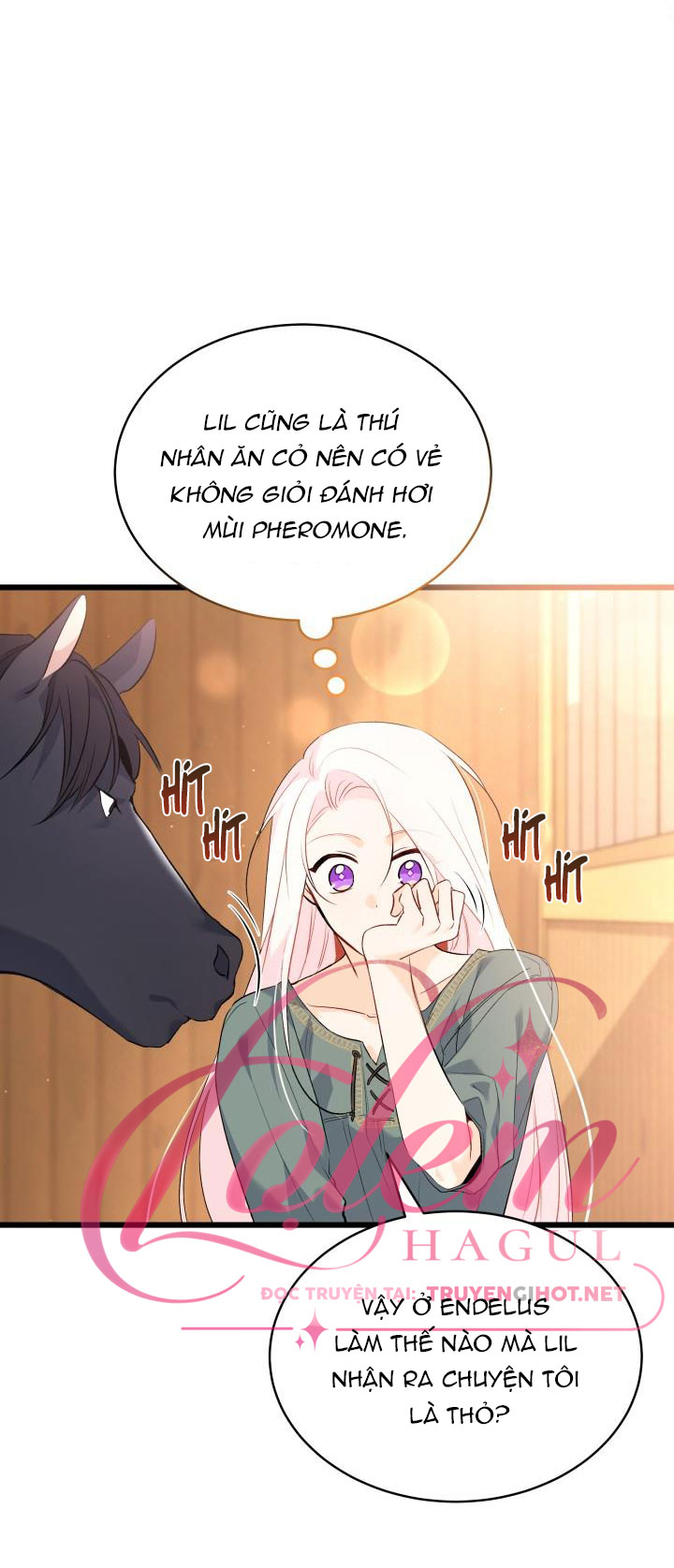 mối liên kết giữa báo đen và bé thỏ chapter 49 26