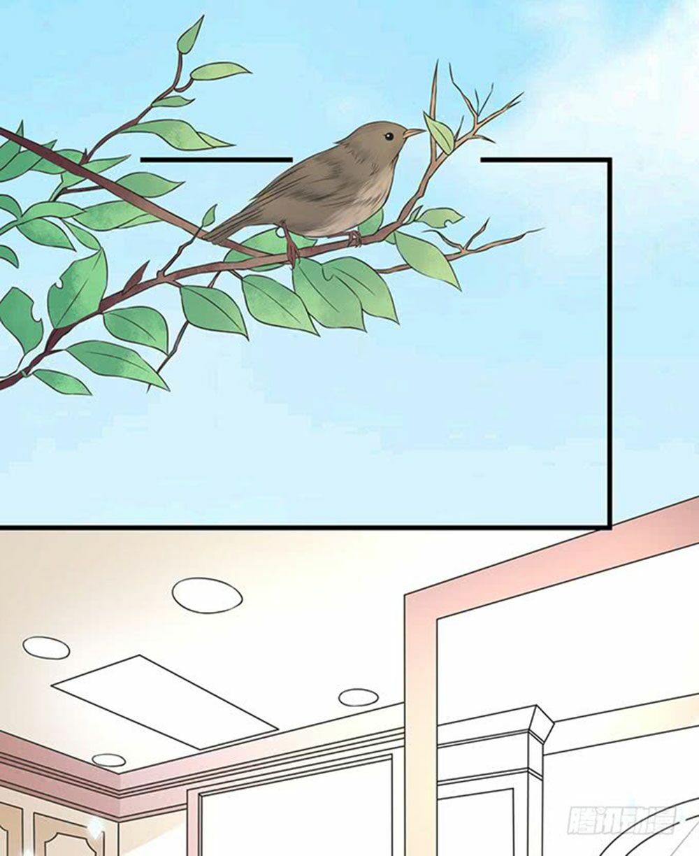 luyến đường thời quang chapter 66 42