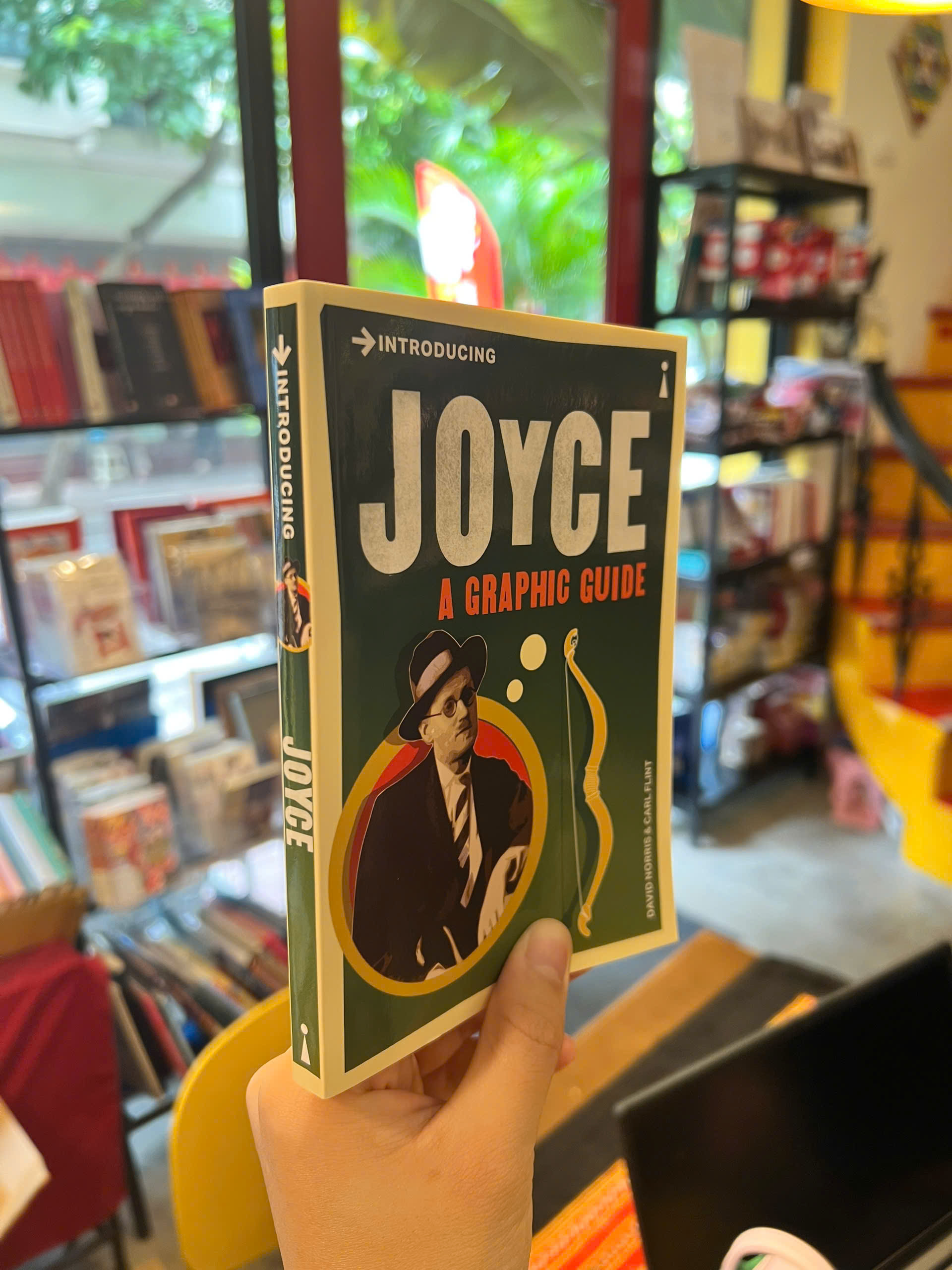 Sách - Introducing Joyce: A Graphic Guide (James Joyce) | Biography / Ngoại văn Nhập khẩu