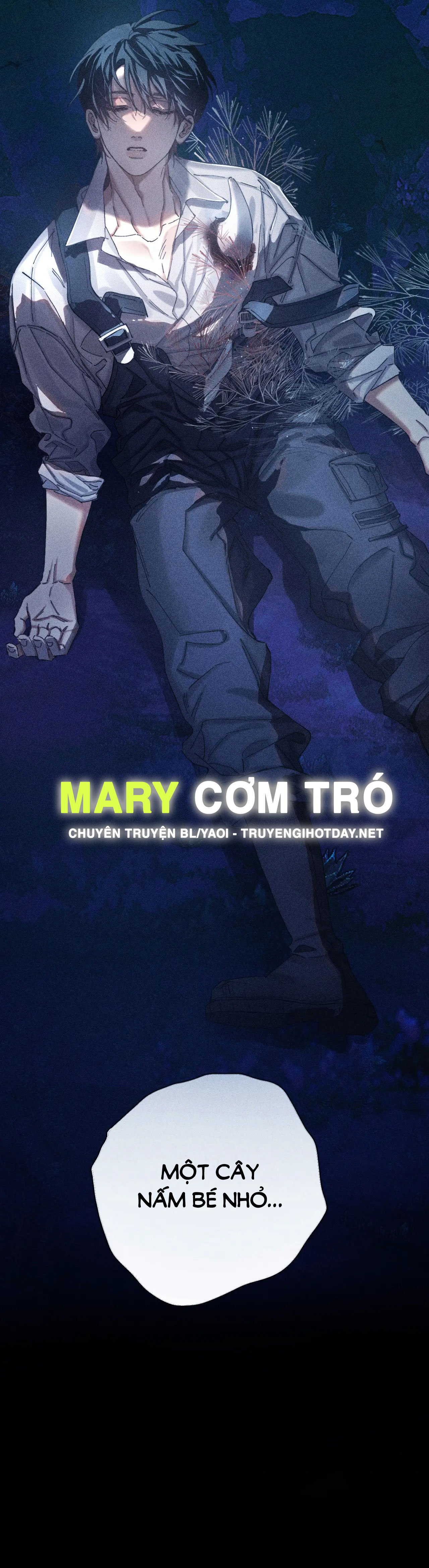 cây nấm nhỏ chapter 2 15