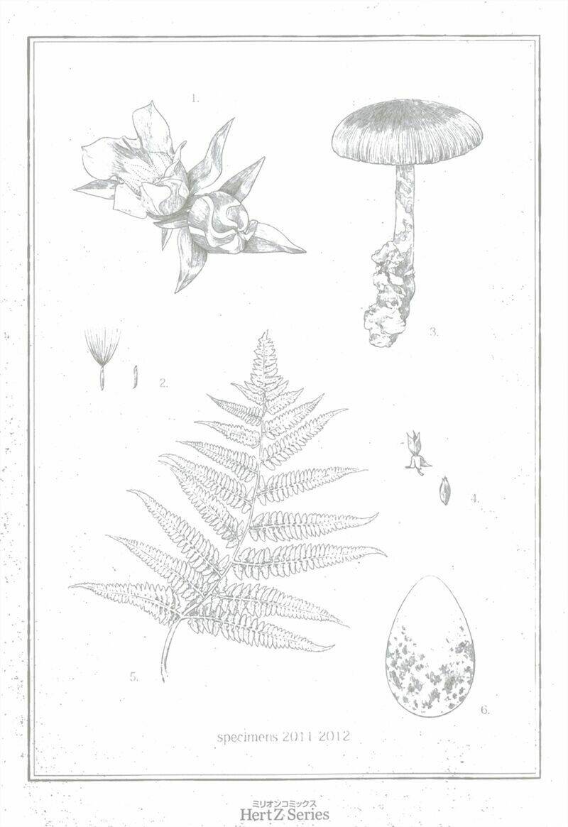 tsumasaki ni kourozu chapter 1 6