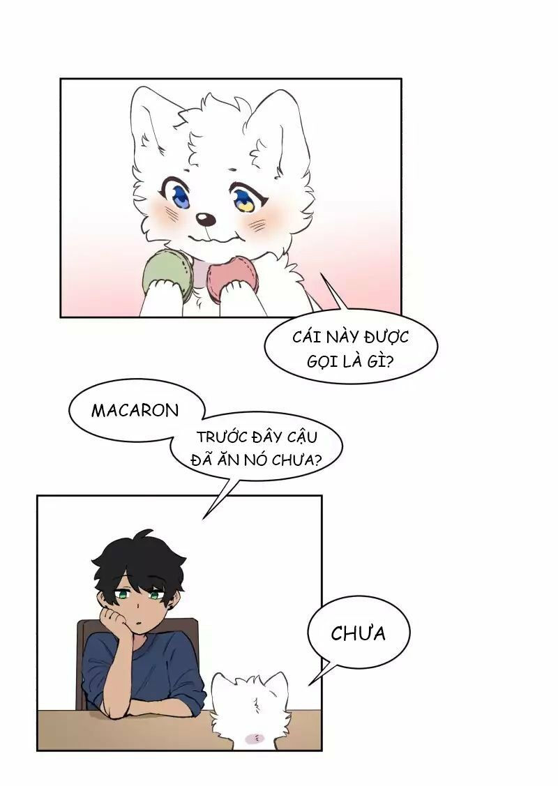 lumine - cội nguồn ánh sáng chapter 42 12