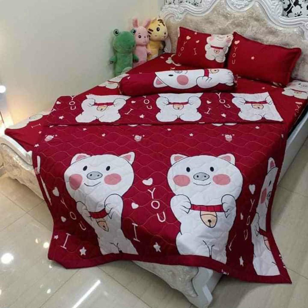 Bộ Chăn Ga Gối Cottong Poly PLX18 mềm mịn thấm hút mồ hôi