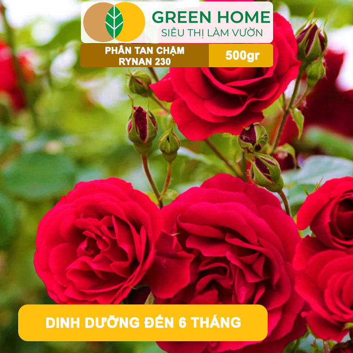 Phân Tan Chậm GreenHome, Rynan 230, Bao 500gr, Dùng Cho Hoa Kiểng, Kiểng Lá Trước Khi Ra Hoa