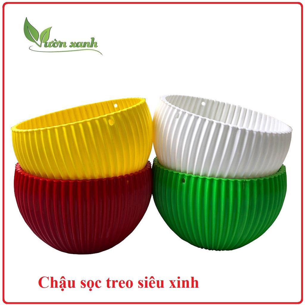 Chậu treo Gân sọc siêu xinh trồng hoa kiểng