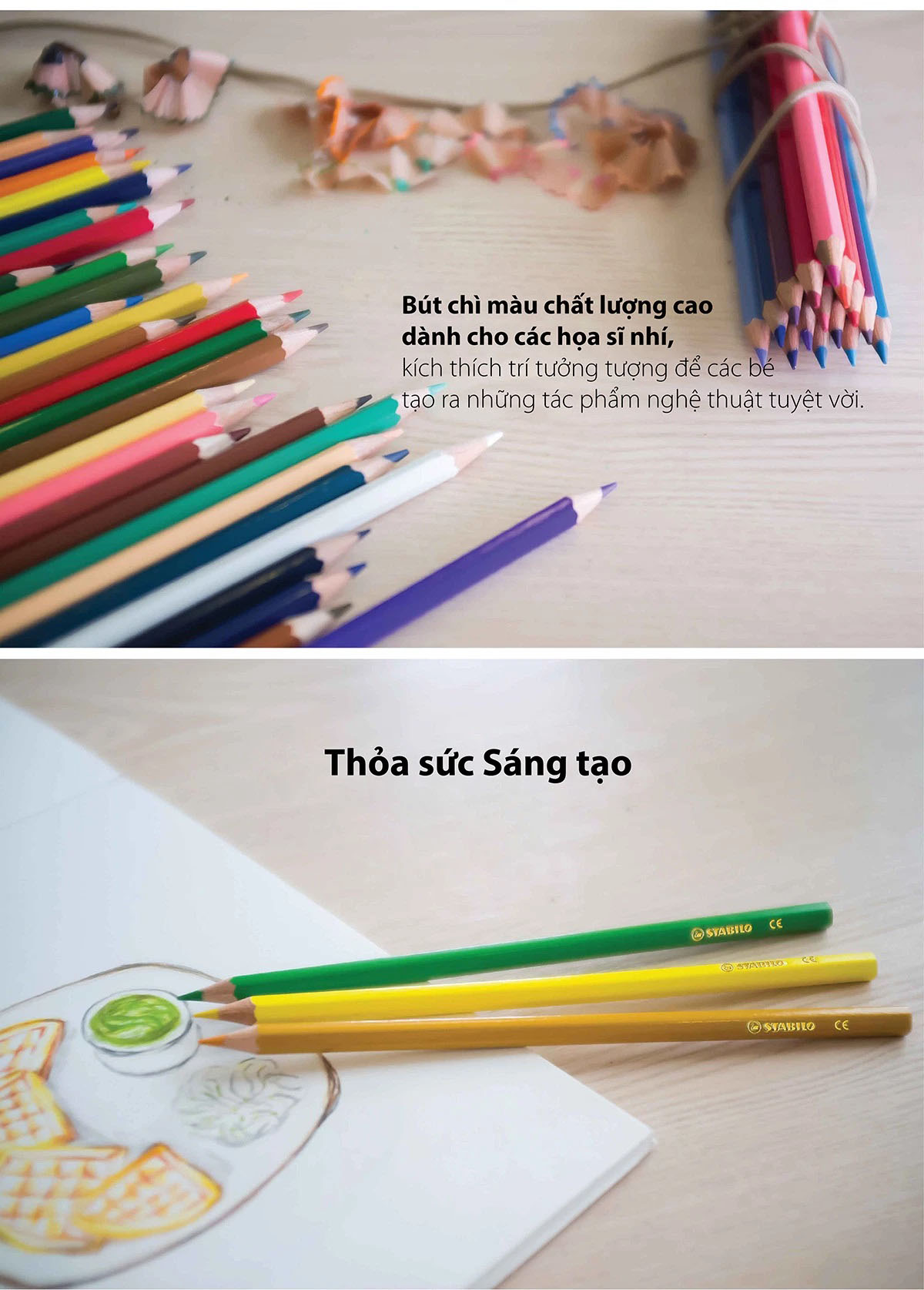 Combo bút chì màu Swans 48 màu - Hộp 48 màu + Gôm tẩy ExamGrade (CLS-48H+)