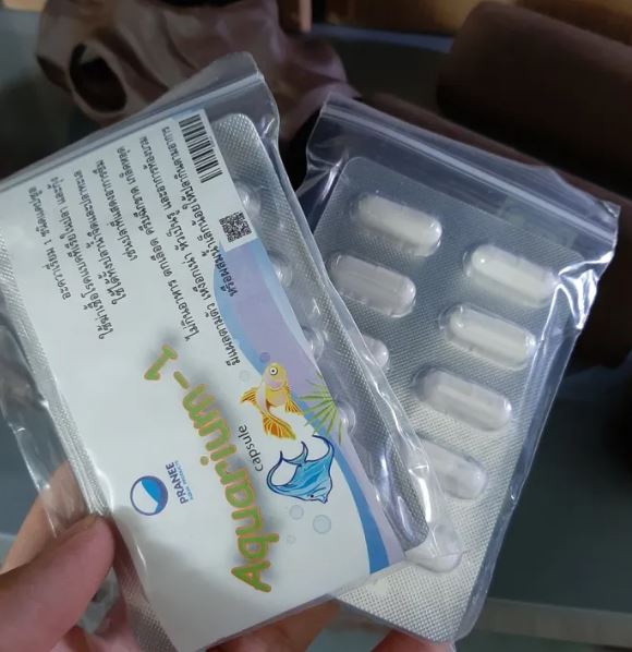 Viên con nhộng đặc trị CÁ- TÉP CHẾT LAI RAI AQUARIUM-1 Thái Lan.