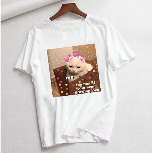 ÁO thun nữ in hình con mèo cutee