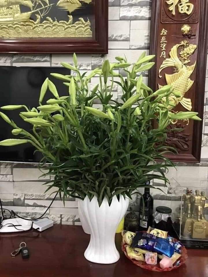 Lọ cắm hoa