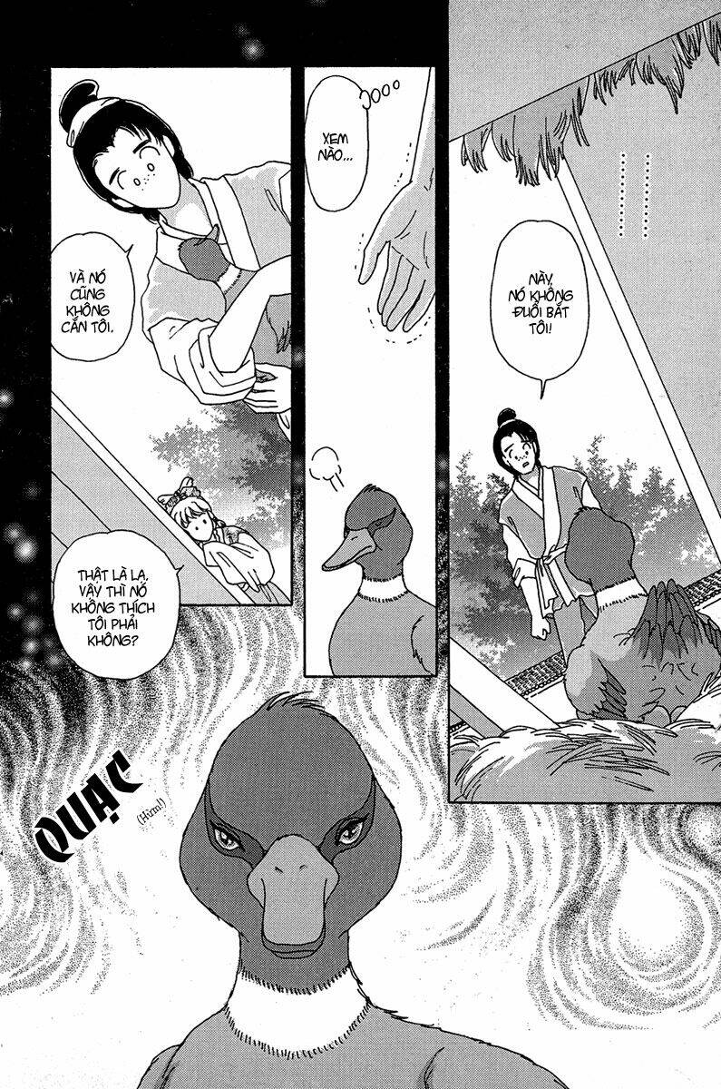 bird of youth chapter 3 12