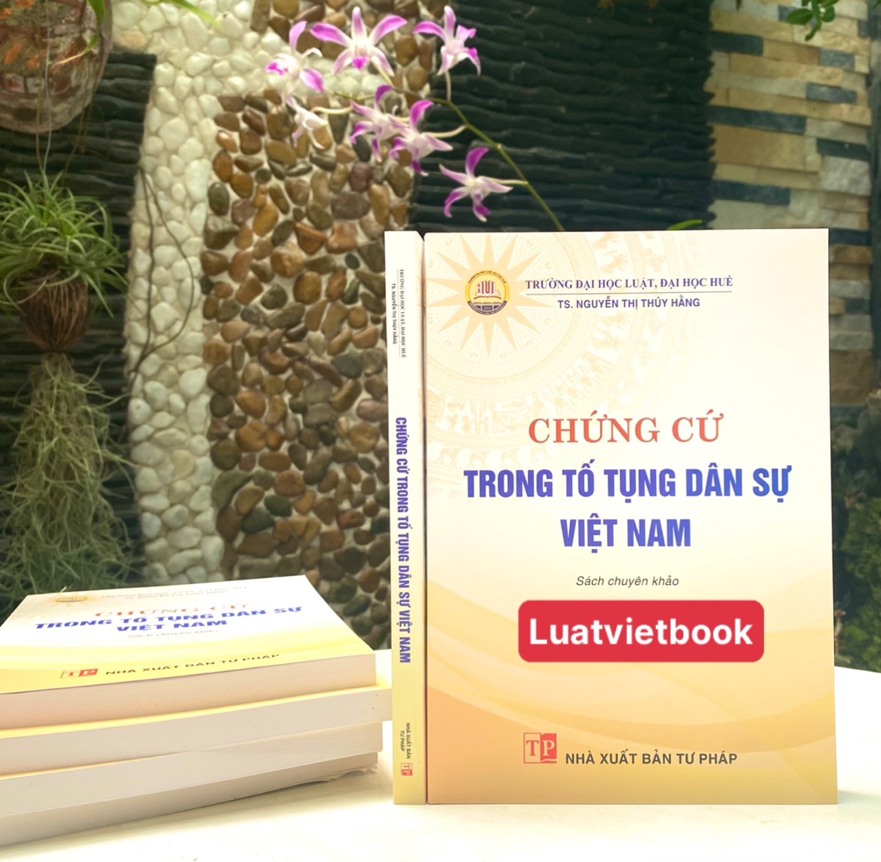 Chứng Cứ Trong Tố Tụng Dân Sự Việt Nam