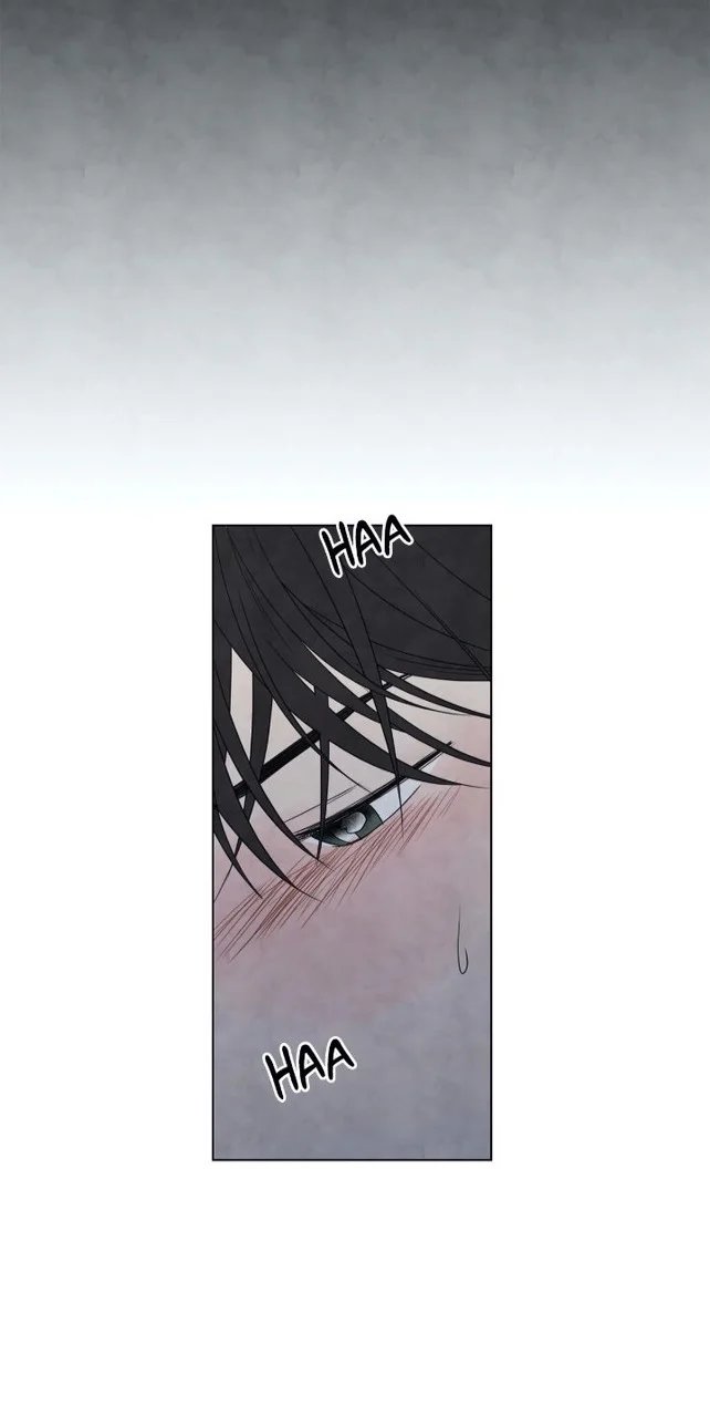 summer solstice point chapter 12 37