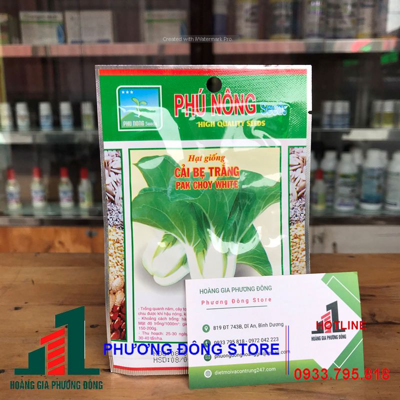 Combo 5-10 gói hạt giống rau cải bẹ trắng năng suất cao