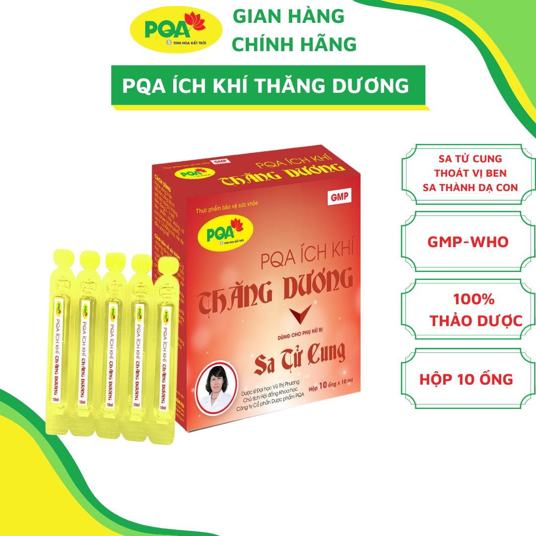 Ích Khí Thăng Dương PQA Giúp Điều Bổ Tì Vị, Hỗ Trợ Giảm Các Triệu Chứng Sa Tử Cung, Trĩ Hộp 10 Ống