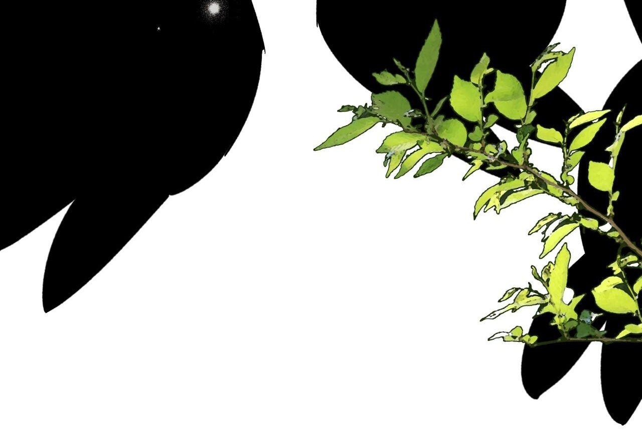 những chú thỏ của hapypy chapter 59 32