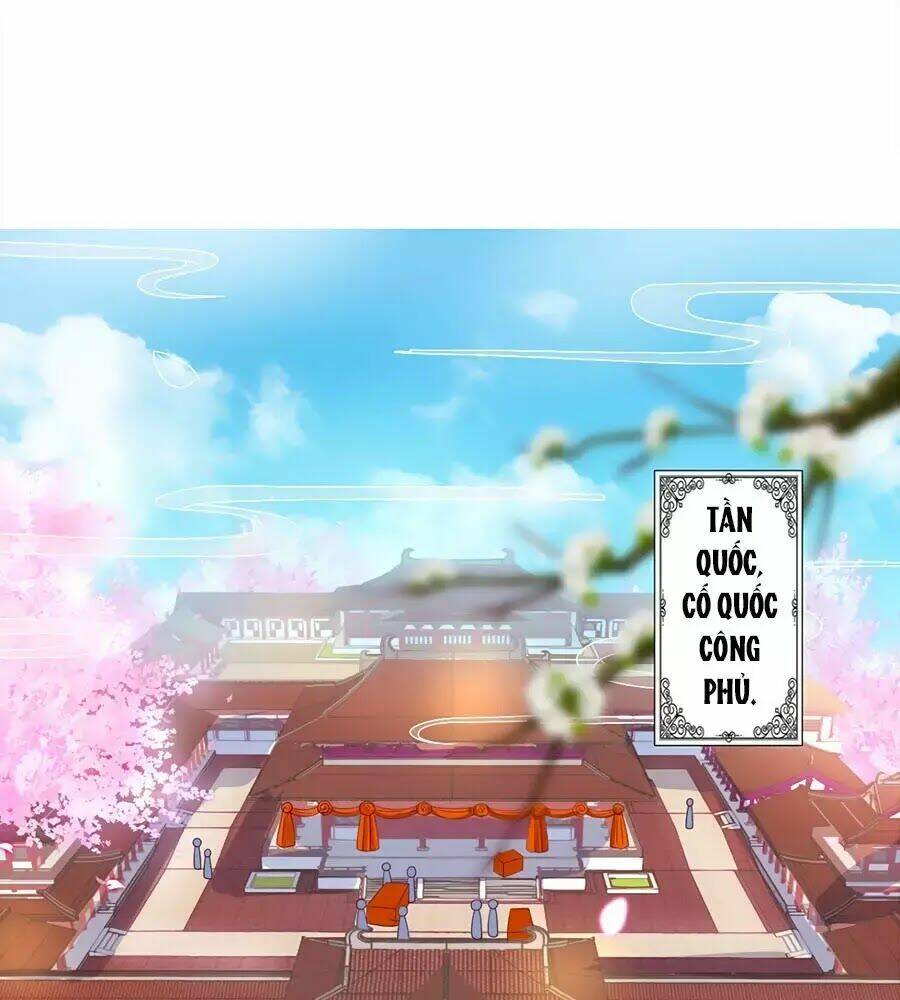 quyền phi chi đế y phong hoa chapter 1.1 3