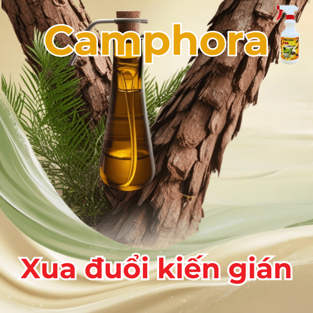 Tinh Dầu ASA Long Não 300ml - Khử mùi hôi nhanh, xua đuổi gián kiến, hạn chế vi khuẩn
