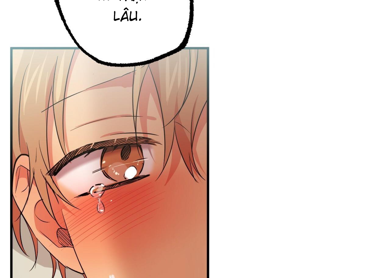 đàn thỏ của habibi chapter 54 209