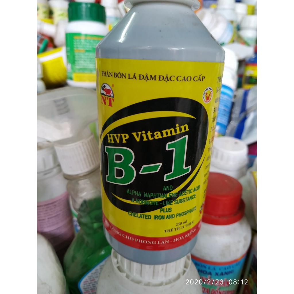 Phân bón lá đậm đặc cao cấp HVP vitamin B1 250ml