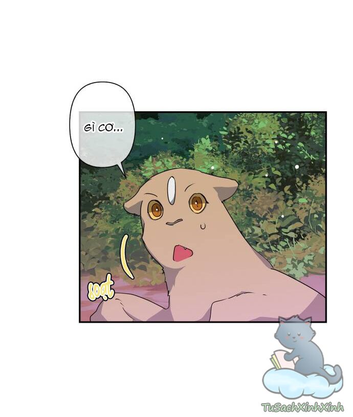 tôi đang nuôi dưỡng một con quái thú chapter 37 22