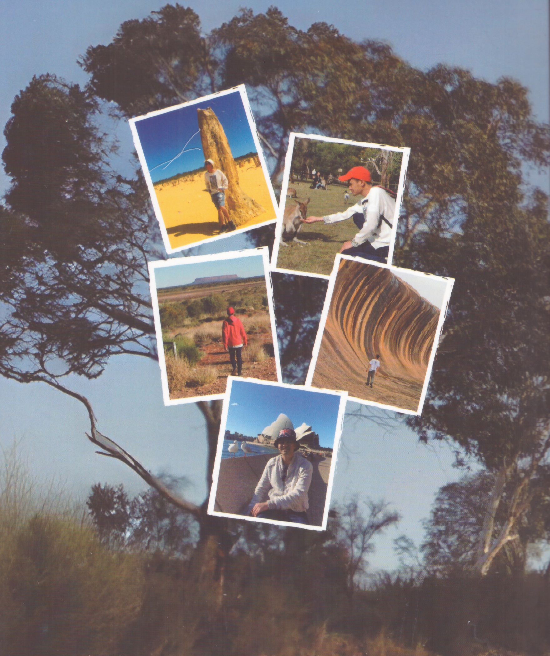 Lãng du ở xứ sở Kangaroo - Hành trình Visa 462