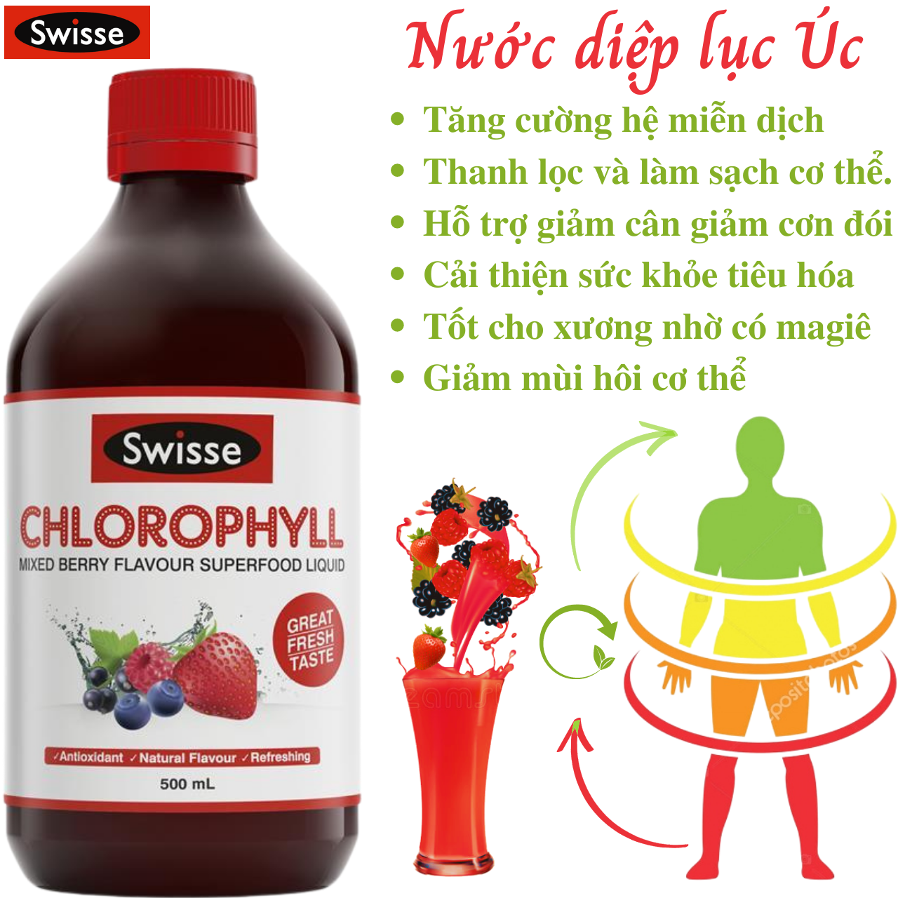 Nước diệp lục cô đặc Swisse Chlorophyll giàu chất chống oxy hóa, tăng cường năng lượng và sức khỏe làn da - Massel Official