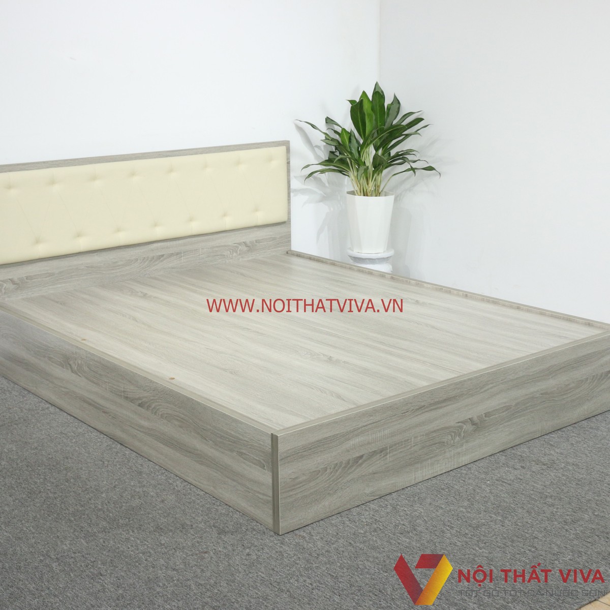 Giường Ngủ Gỗ MDF Melamine Màu Xám Vân Gỗ Có Đầu Nệm Kem Đẹp Hiện Đại