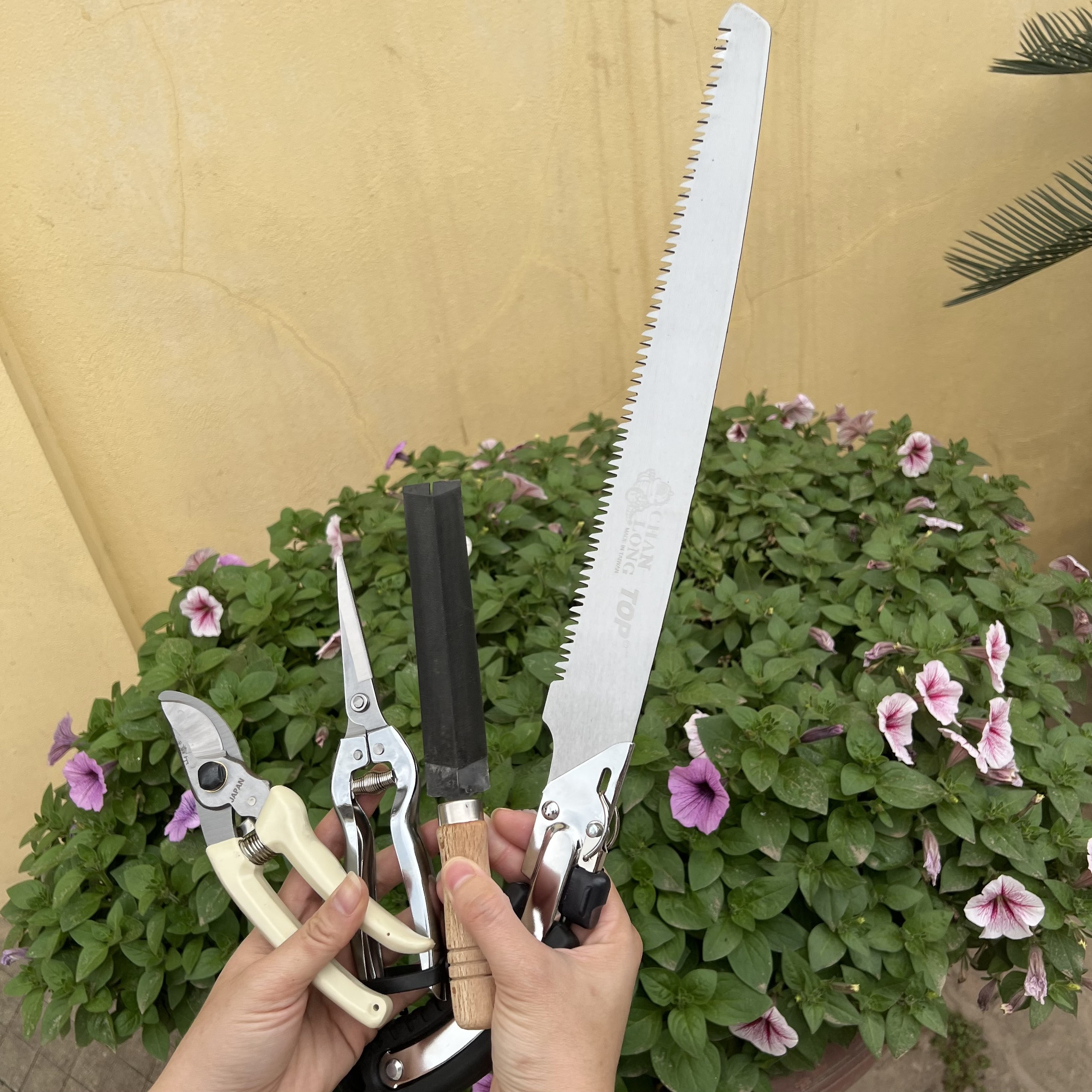 Combo Cắt Tỉa Cây cảnh, Bonsai : Kéo Cắt Cành + Kéo tỉa lá,tỉa dăm + Cưa Gỗ Cầm Tay (35cm) + Dũa Cưa, kéo